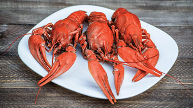 crawfish on plate